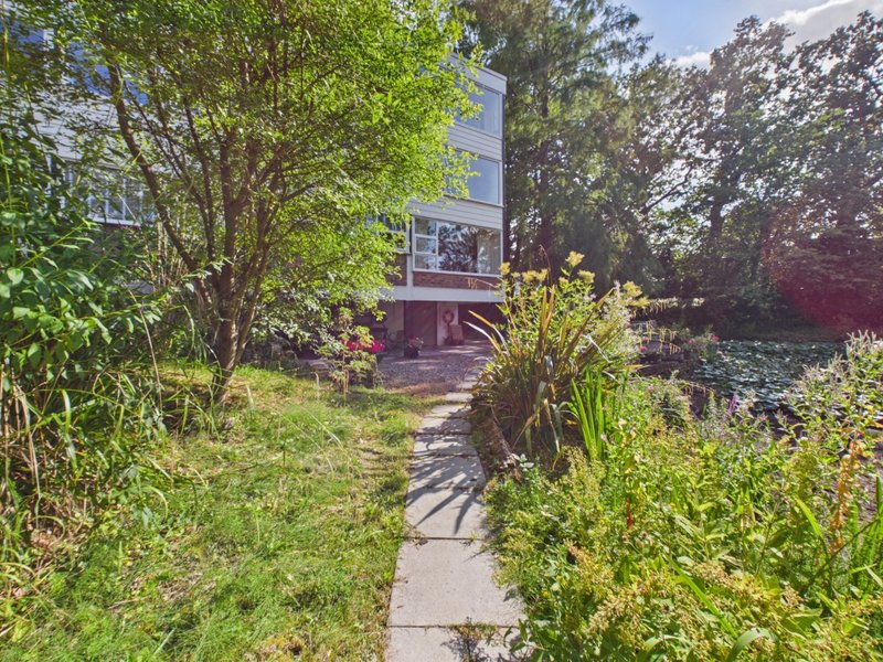 Modern house exterior with overgrown garden, stone pathway, and surrounding vegetation