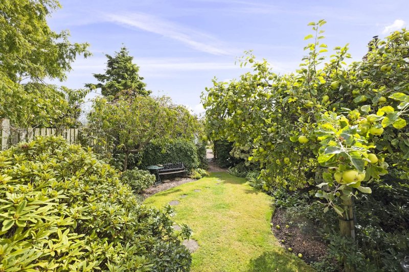 Garden with manicured lawn, mature hedges, trees and bench seating area