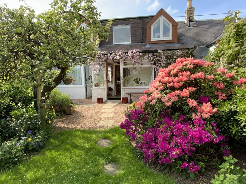 Brick house exterior with conservatory, manicured garden, flowering shrubs and lawn