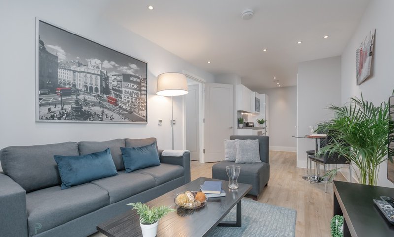 Modern living room with grey sofa, blue cushions, wooden floor and potted plants