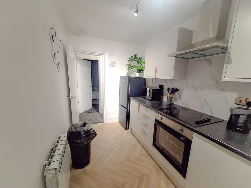 Modern galley kitchen with white cabinetry, black countertops, stainless steel appliances and wooden flooring