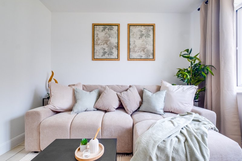 Modern living room with pink sofa, decorative cushions, framed wall art and potted plant