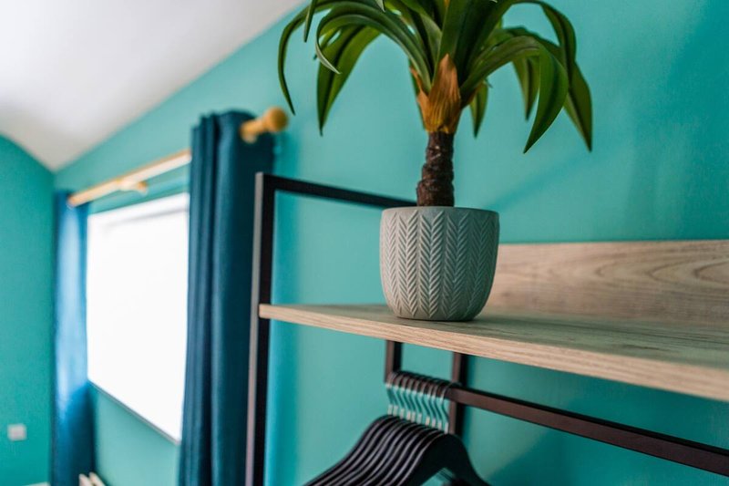 Bright turquoise bedroom with potted plant on wooden shelf and blue curtains