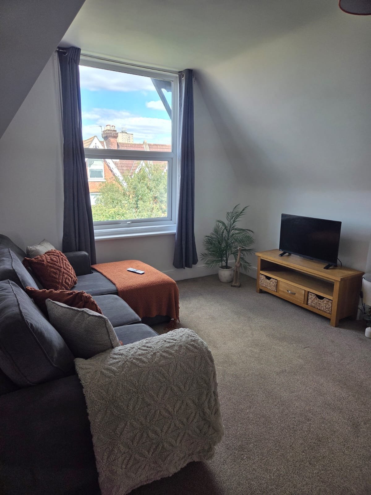 Living room with grey sofa, wooden TV stand, window with view, and potted plant