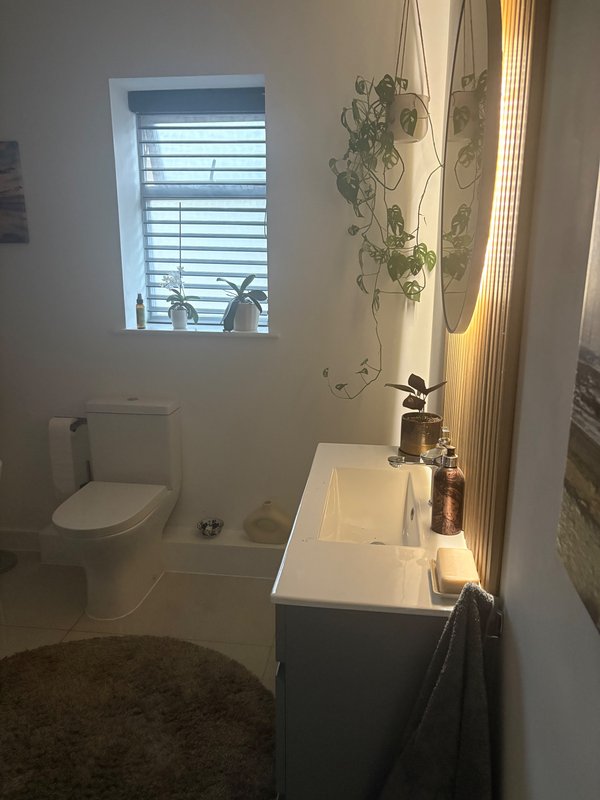 Modern bathroom with white sink, toilet, window with shutters and potted plant