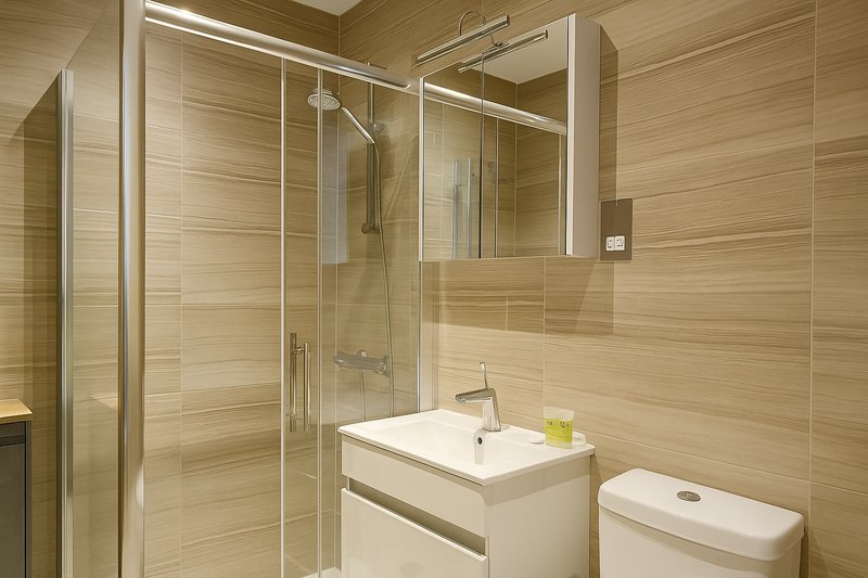 Modern bathroom with walk-in shower, white vanity sink, mirror and toilet