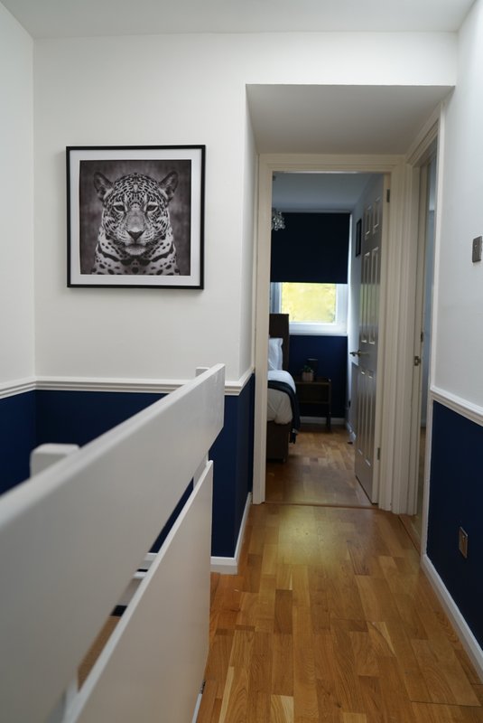 Hallway with white and navy walls, wooden floor, framed leopard artwork and open doorway