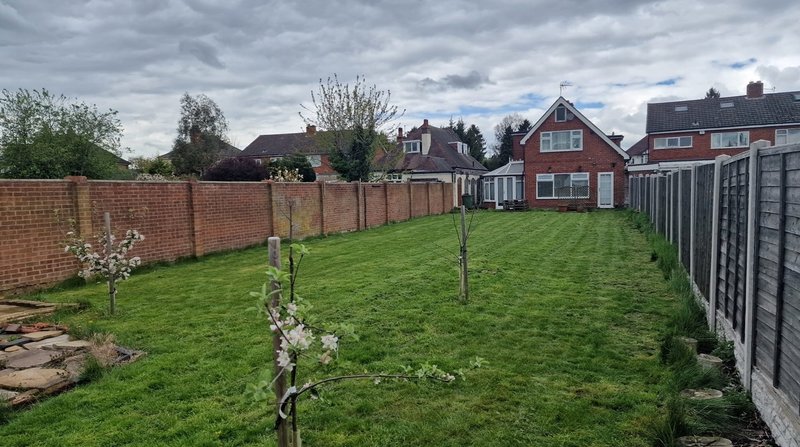 Spacious garden with manicured lawn, young trees and brick fences.
