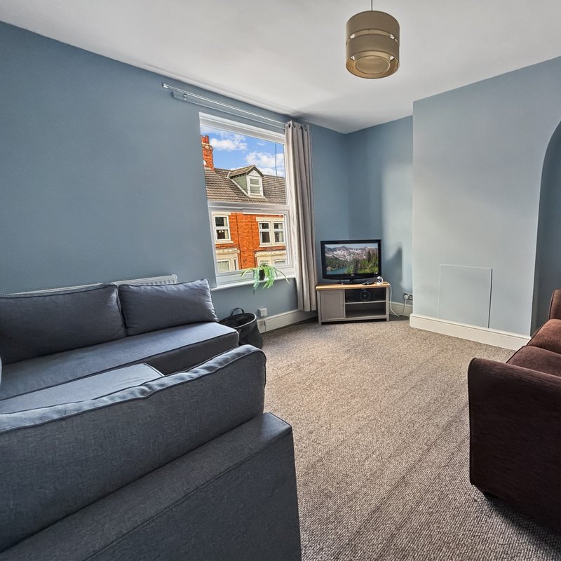 Bright living room with blue walls, gray sofa, television, and street view from window