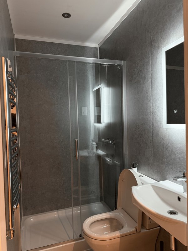 Modern bathroom with walk-in shower, white sink, toilet, and heated towel rail