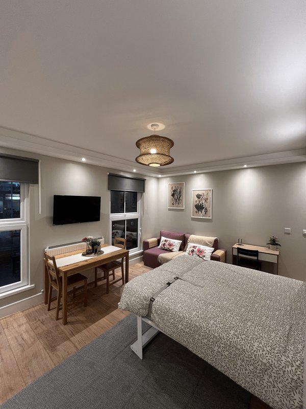 Modern studio bedroom with double bed, desk area, TV, and seating area with purple cushions