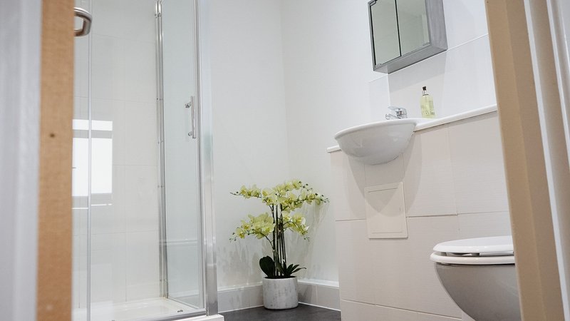 Modern bathroom with shower enclosure, toilet, sink and decorative plant