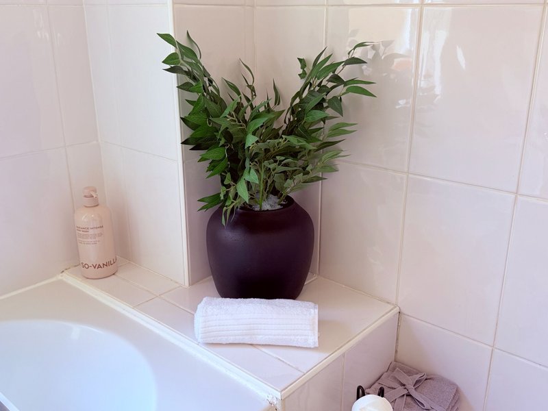 Bathroom shelf with potted plant, folded towel, and toiletries bottle