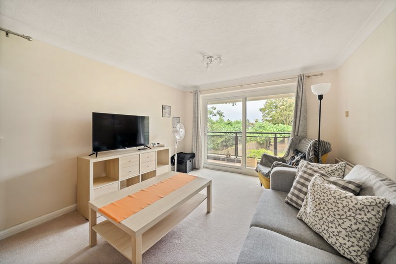 Bright living room with TV, wooden furniture, sofa with cushions and garden view