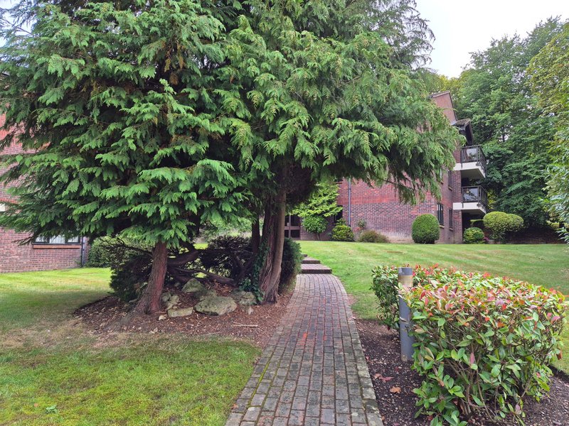 Brick property exterior with mature trees, manicured garden, brick pathway and flowering shrubs