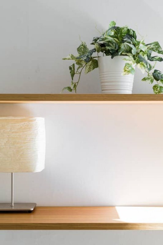 Wooden shelf with potted plant, table lamp with cream shade, and white wall