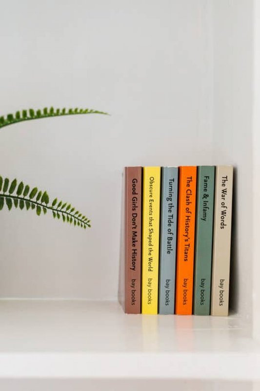 Shelf with stack of colorful books and green fern plant against white wall