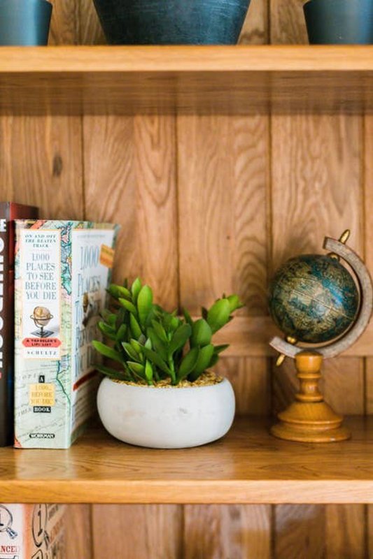 Wooden shelf with potted succulent plant, decorative globe, and book
