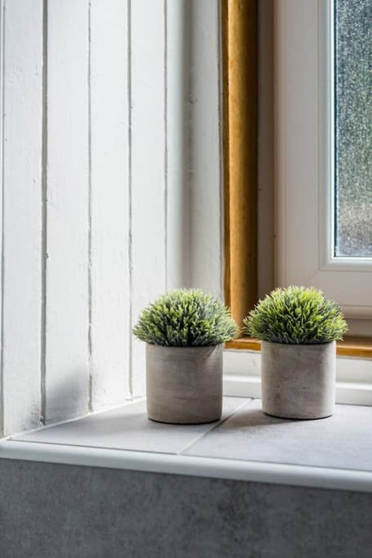 Windowsill with two potted green plants in concrete planters and vertical blinds