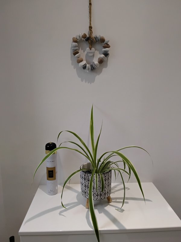 White shelf with potted plant, decorative bottle, and hanging ornament against wall