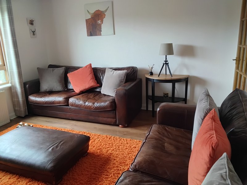 Living room with brown leather sofa, orange rug, side table with lamp and wall art