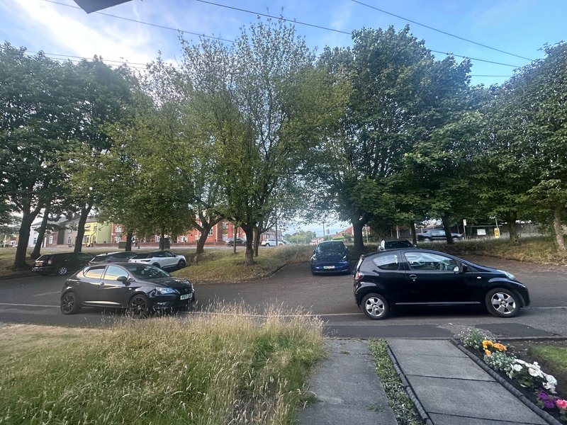 Tree-lined residential street with parked cars, buildings visible in background