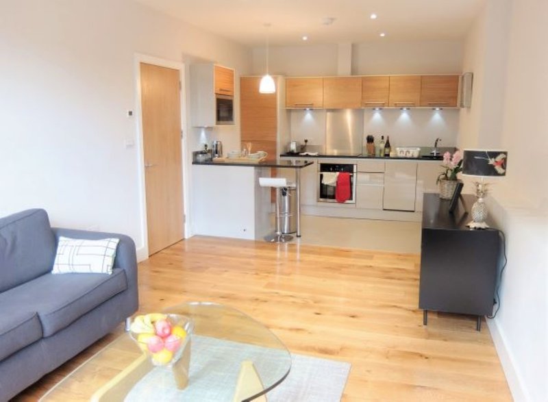 Open-plan living and kitchen area with wooden flooring, blue sofa, and modern appliances