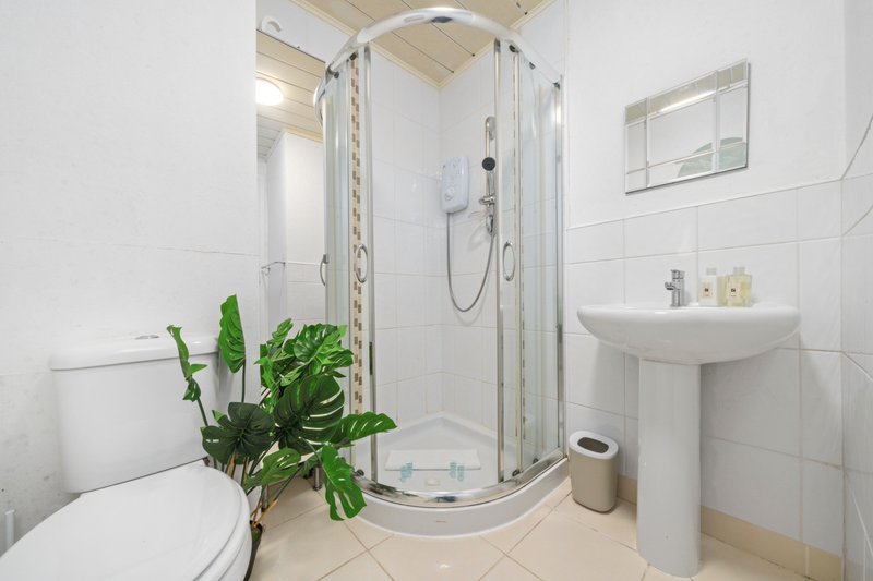 Modern white bathroom with shower cubicle, toilet, sink and potted green plant