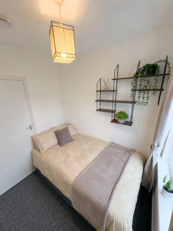 Bedroom with single bed, ceiling light fixture, wall shelving with plants