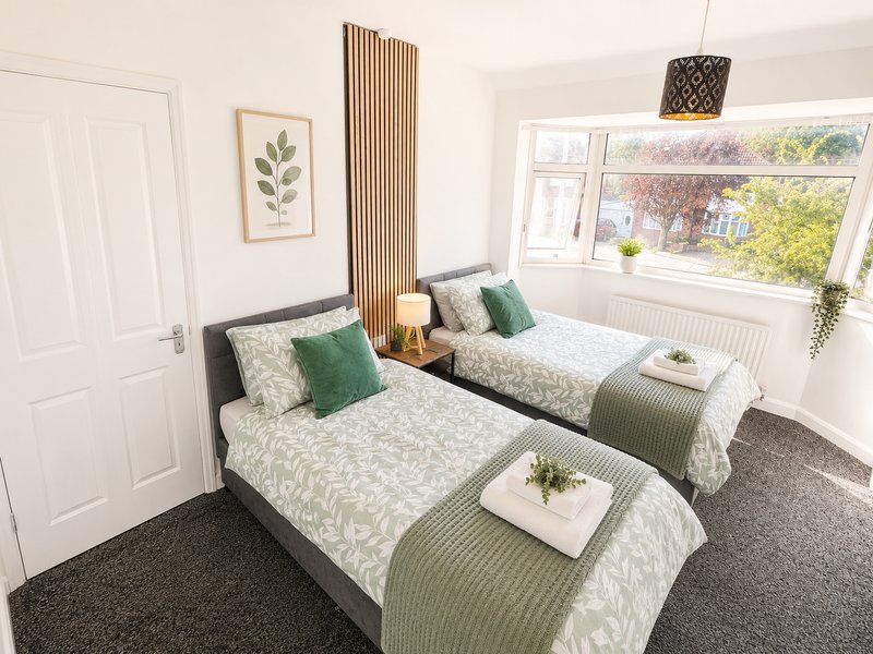 Bright twin bedroom with two single beds, green cushions, wooden accent wall and large window
