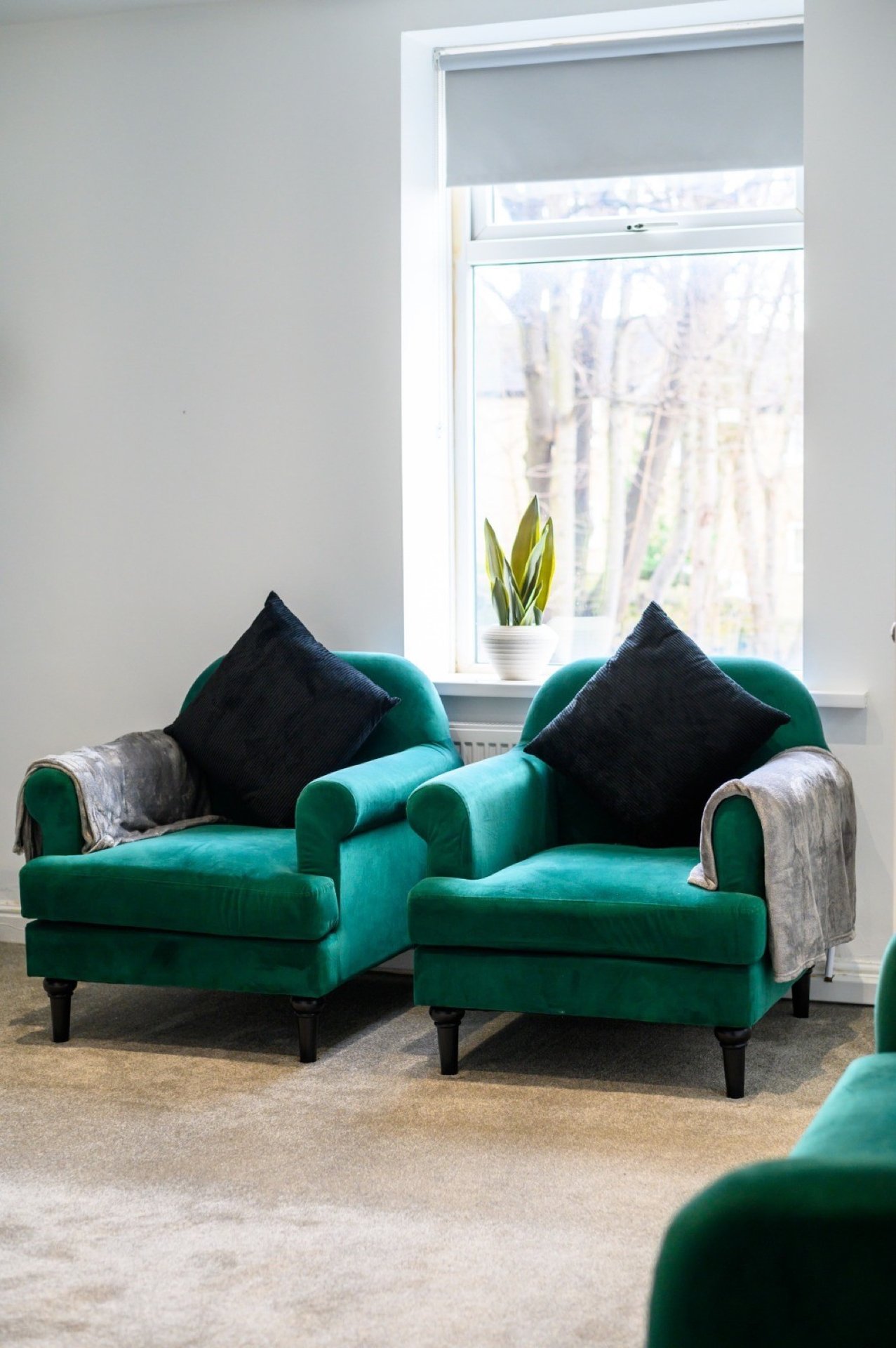 Living room with green velvet armchairs, black cushions, window with forest view