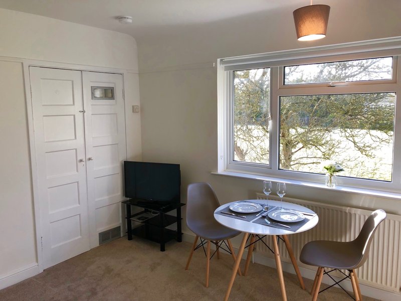 Modern studio room with small dining table, TV, white wardrobe doors and large windows overlooking garden