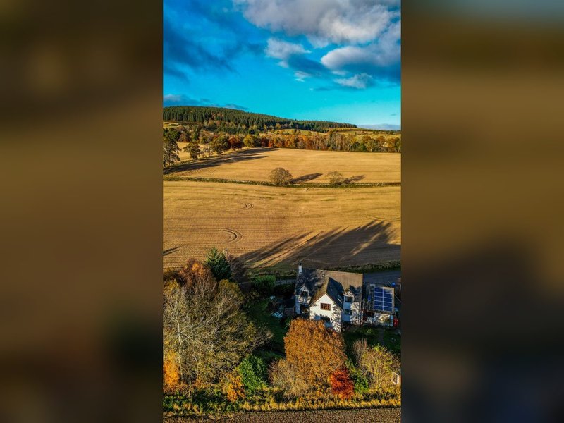 Aerial view of rural property with white house, surrounding fields and tree-lined hills