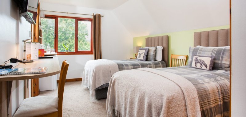 Bright bedroom with two single beds, wooden desk, chair, and large window with red frame