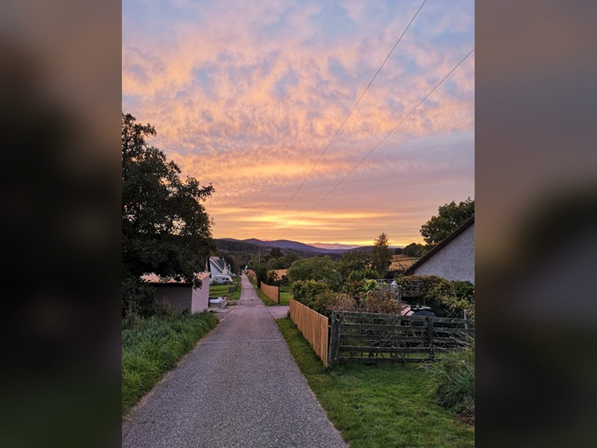 Rural driveway at sunset with countryside views, trees, and wooden fencing