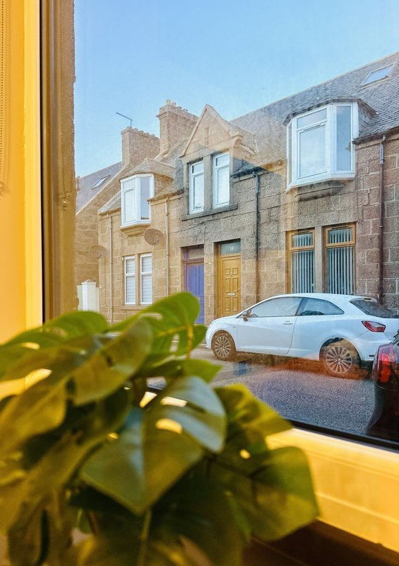 Stone Victorian townhouses with parked cars on quiet residential street, viewed through window with potted plant