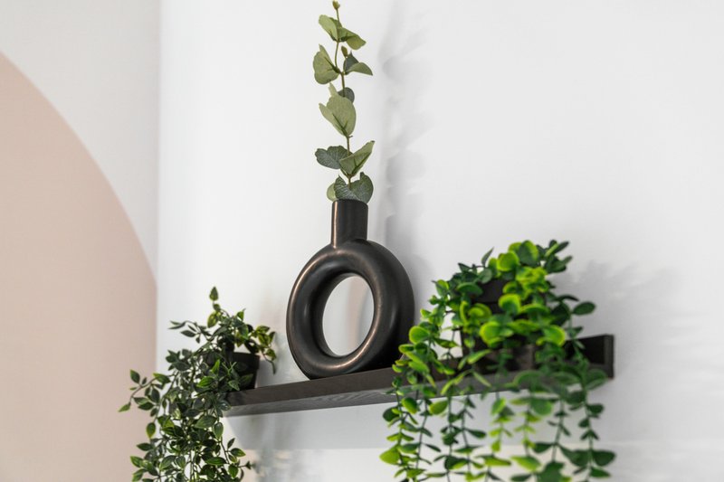 Wall-mounted black decorative vase with trailing green plants in minimalist interior