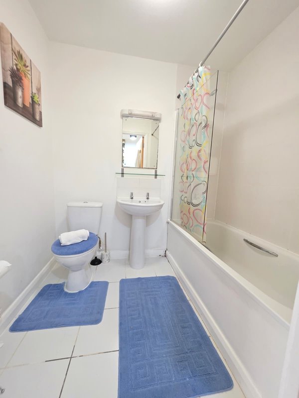 Small bathroom with toilet, pedestal sink, mirror and blue bath mats