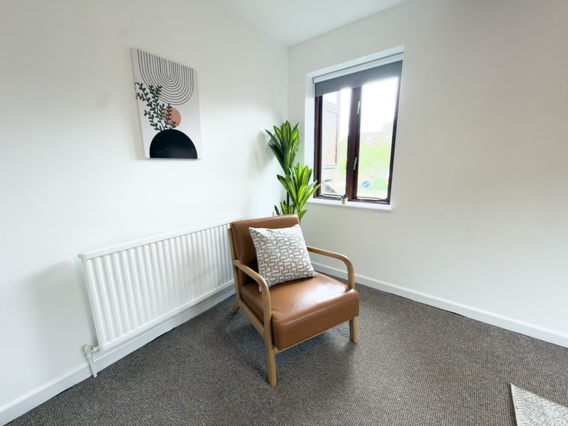Bright minimalist room with tan leather armchair, potted plant, wall art and window