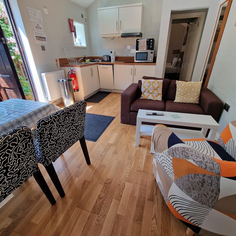 Open-plan studio apartment with kitchen, dining area, sofa and wooden flooring