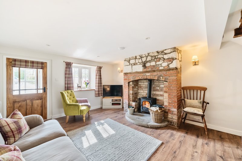 Bright living room with sofa, fireplace, wood-burning stove and green armchair