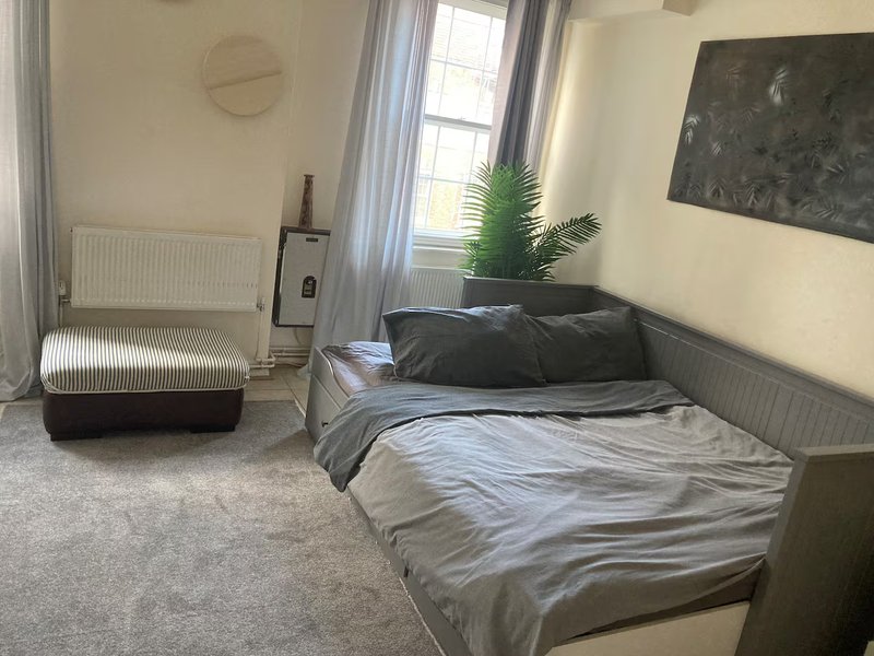 Bedroom with double bed, radiator, potted plant, window with curtains and wall art