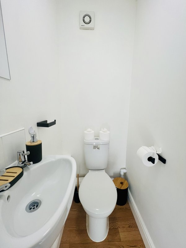 Compact bathroom with white toilet, sink, and small storage items on wooden floor
