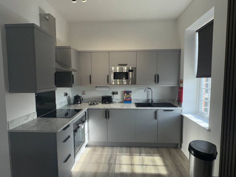 Modern kitchen with grey cabinetry, stainless steel appliances, and wooden flooring