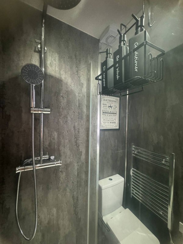 Modern shower room with rainfall showerhead, heated towel rail, and toilet