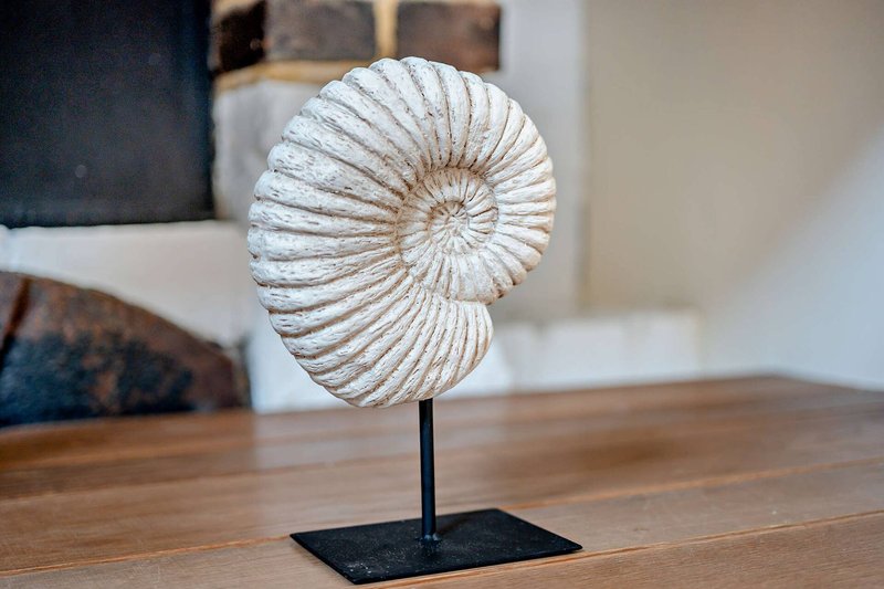 Wooden table with decorative white spiral shell sculpture on black stand