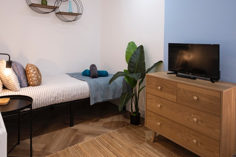 Bedroom with single bed, wooden dresser, TV, potted plant and striped pillows