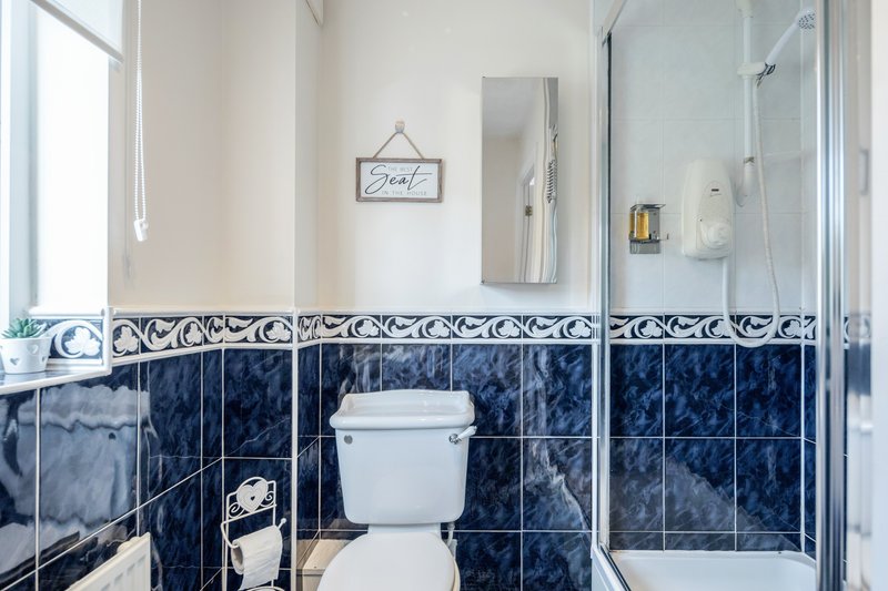 Modern bathroom with navy blue tiled walls, white toilet, vanity mirror and glass shower enclosure