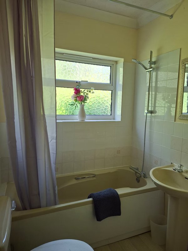 Bathroom with bathtub, shower enclosure, pedestal sink and window with flowers