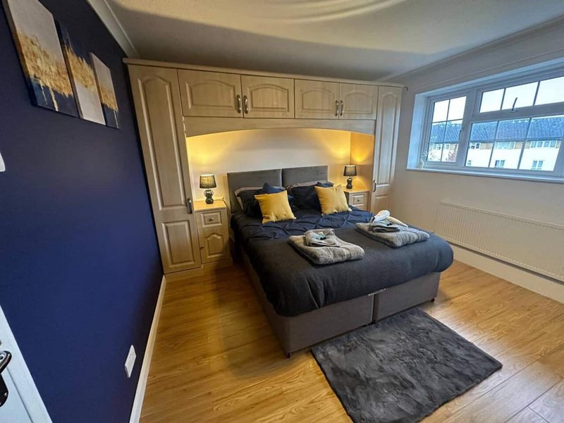 Bedroom with double bed, built-in wardrobe, bedside lamps, navy wall and wooden flooring.